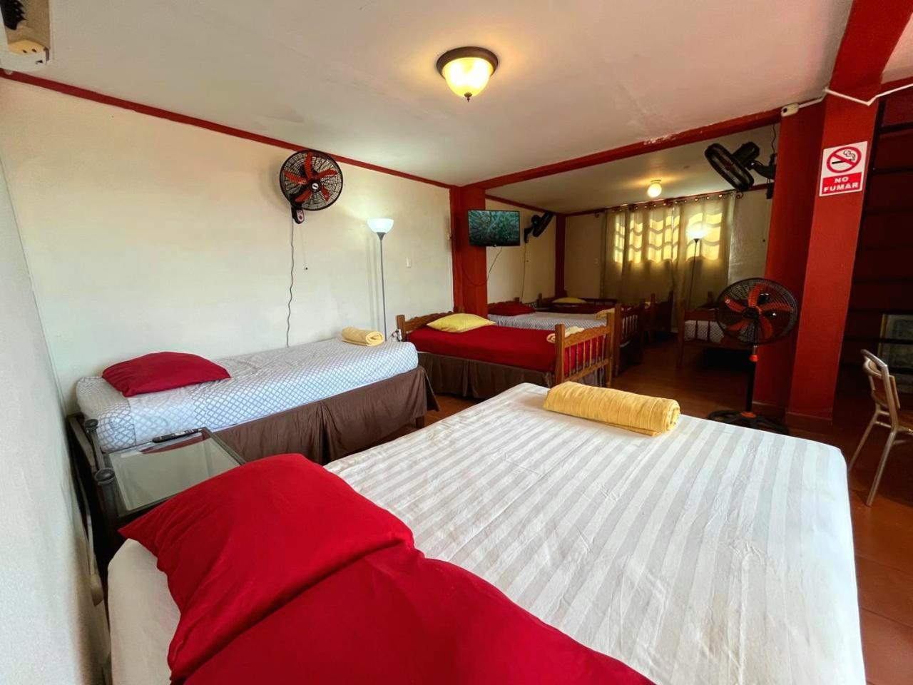 Hostal Lolita'S Boutique Granada Eksteriør bilde